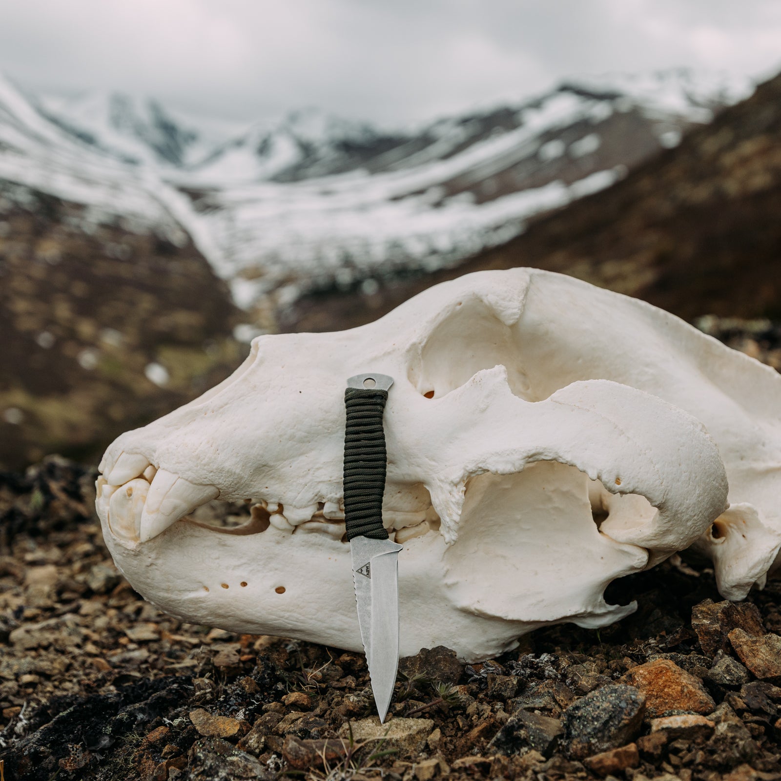 Thinhorn (Paracord Wrap) – Alaska Blade Works