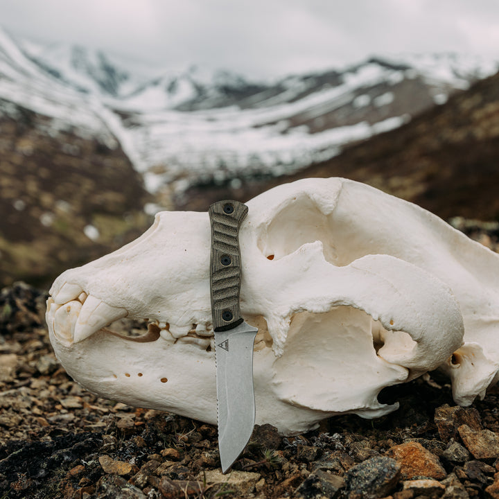 Kodiak Skinner