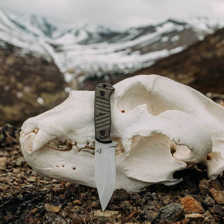 Chugach